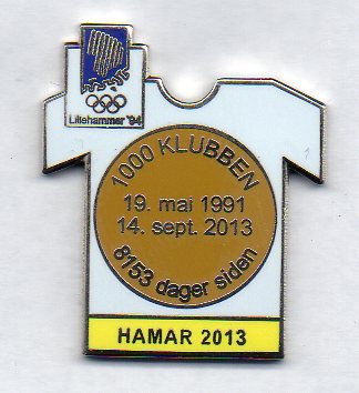 Hamar yellow 2013 with number